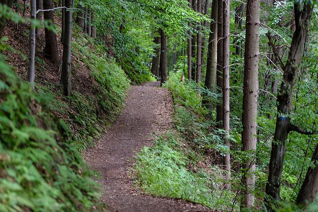 The 7 best men’s underwear for hiking the Appalachian Trail – Input