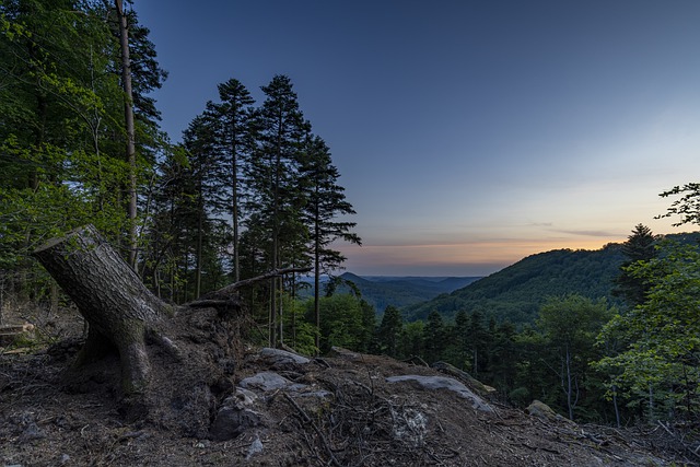 Mount Washington hiker dies while hiking Jewell Trail – NewsCenterMaine.com WCSH-WLBZ