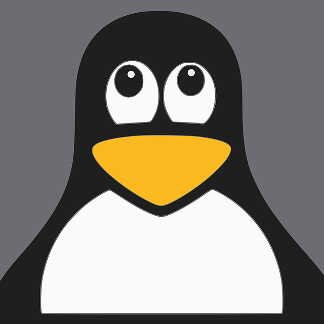 The Untimely Demise of Kodi Pure on Ubuntu Linux – BetaNews