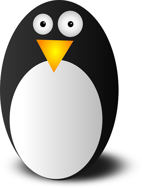 “Unleash the Power of Tiny Core Linux 6.4 for Dedicated Linux Enthusiasts”