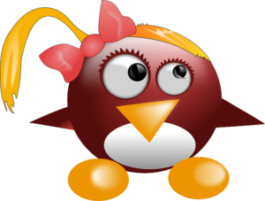 Garuda Linux’s Big Release, Code-named “Bird of Prey” is Here! – It’s FOSS News