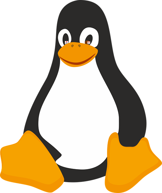 Disponible EuroLinux 9.3 con otra ración de RHEL bien apegada a las fuentes – MuyLinux