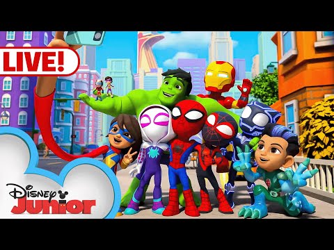 🔴 LIVE! NEW SPIDEY FULL EPISODES & SHORTS | Marvel's Spidey and his Amazing Friends | @disneyjunior