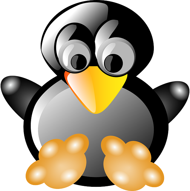Slax Linux – your pocket operating system – Slax Linux