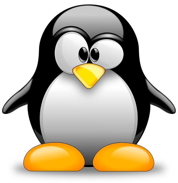 AntiX Linux: Not Pretty but Highly Functional | Review – LinuxInsider