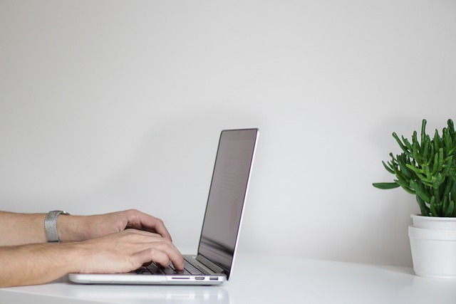Maximizing Regional Ad Revenue with Private Blog Networks