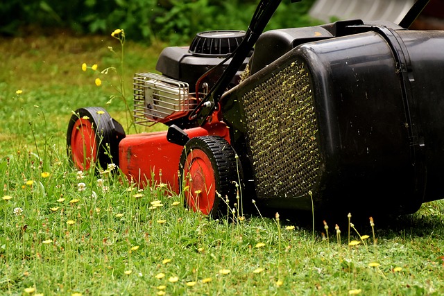 Enhancing Lawn Health: Mastering Mulching & Edging Techniques for Year-Round Perfection in Lawn Care