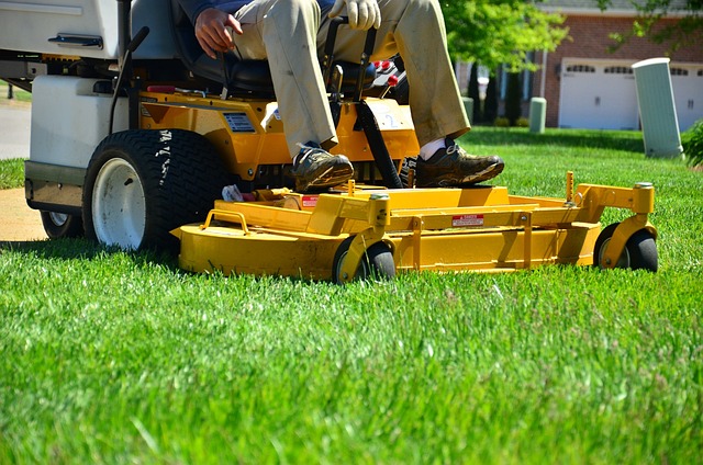 7 Keywords: Lawn Care, Landscaping, Yard Maintenance, Seasonal Tips, Lush Yard, Personal Touch, Outdoor Space.

Suggested Title: Lawn Care and Landscaping Magic: Year-Round Tips for a Cheerful Garden