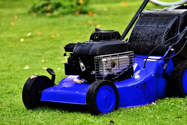 Streamlining Residential Lawn Maintenance: A Guide to Professional Mowing Services