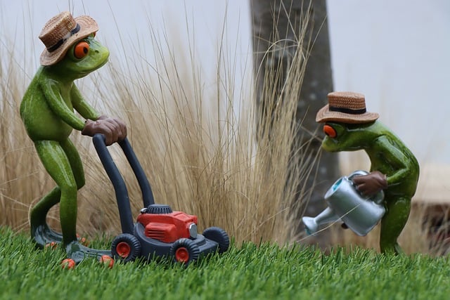 Lawn Care