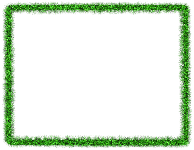 lawn-care-640x480-67029102.png