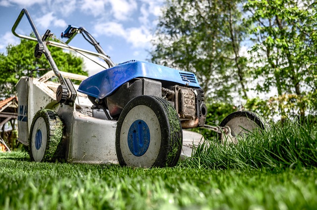 Eco-Friendly Yard Waste Disposal: A Guide to Local Regulations and Recycling Options