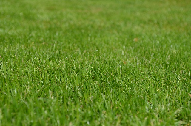 Efficient Yard Waste Solutions for Busy Homeowners: Maximizing Recycling and Minimizing Waste