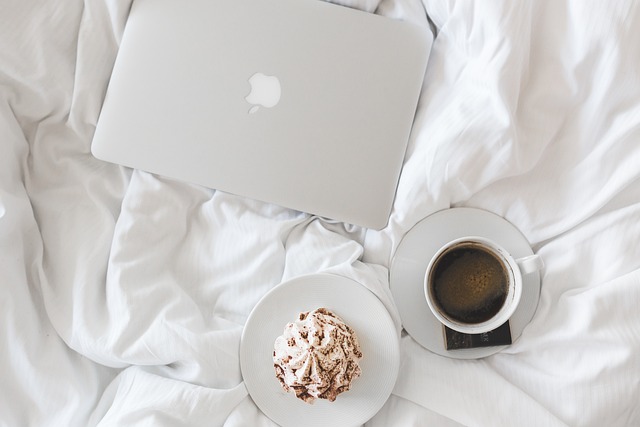 Maximizing Online Presence: Building Credibility with Private Blogging Networks