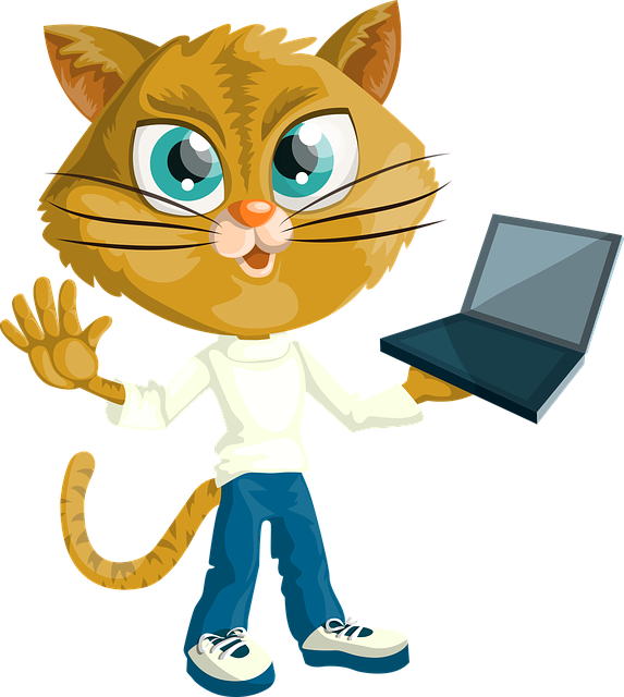 Optimizing Membership Site Traffic with PBNs: A Strategic Guide