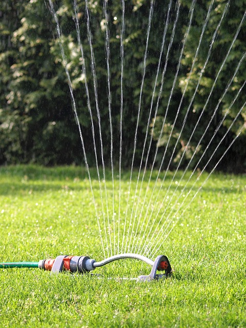 lawn-care-640x480-99322718.jpeg