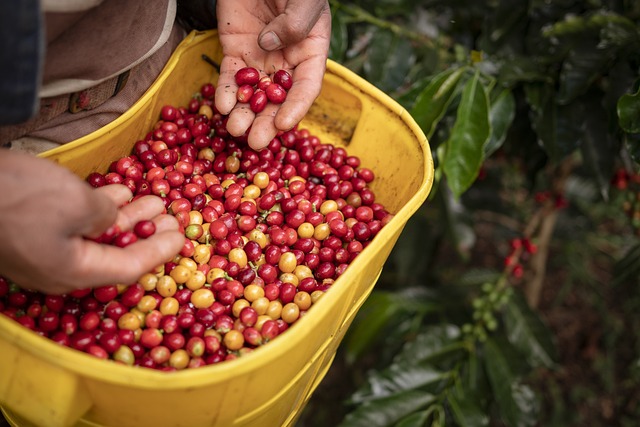 coffee making