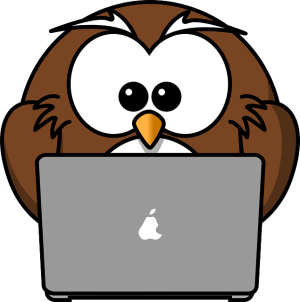 Optimizing SEO: Leveraging Private Blog Networks for Knowledge Sharing