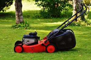 Lawn Care: Designing and Building Your Outdoor Beauty