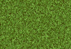 lawn-care-640x480-92051151.jpeg