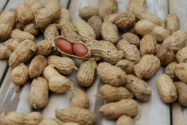 pulses in diet