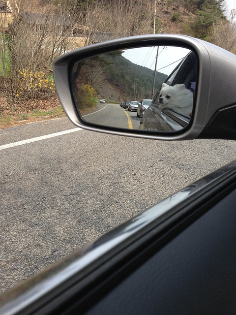 rear wheel drive