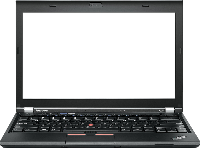 Master Authority Building: Multi-Niche Private Blog Network Strategy