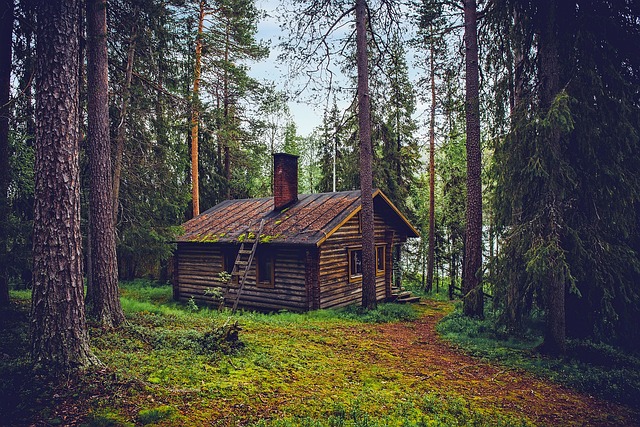 home-repair-640x480-10827184.jpeg