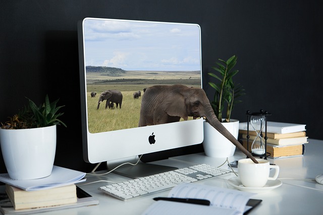 Diversify Online Income: Build Niche Credibility with Private Blog Network