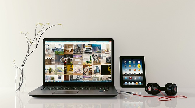 Attract Traffic: Build Websites, Define Audience with PBN Portfolio