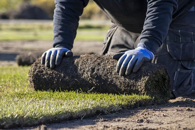 Lawn Care