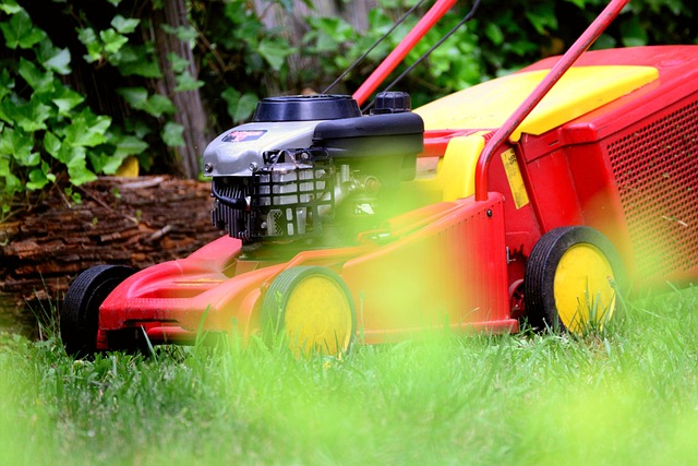 lawn-care-640x480-71844796.jpeg