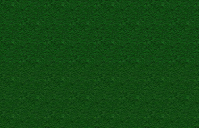 Lawn Care