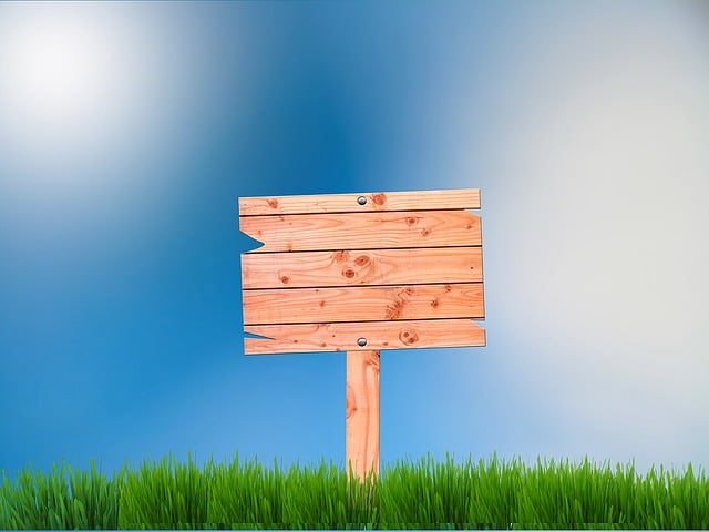 Sustainable Yard Maintenance: Reducing Waste, Promoting Recycling