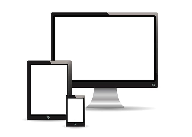 Build Authority Across Niches: PBNs for Content Creator Growth