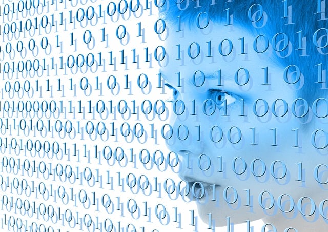Portfolio of Websites: Boost Digital Marketing with PBNs