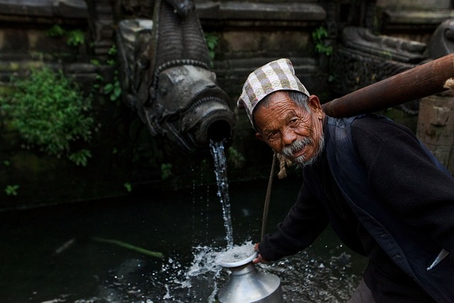 Meal Preparation & Companionship: Nurturing Elderly Well-being with Services
