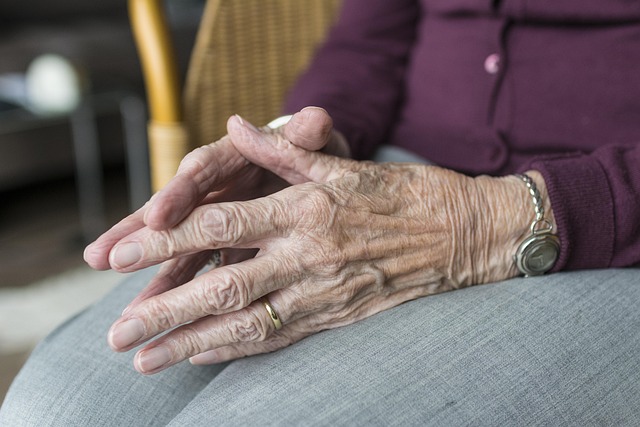 Elderly Companion Services: Light Housekeeping for Comfort and Safety