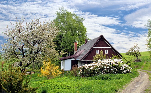 Mastering Home Renovation: Goals, Plan, and Seamless Management