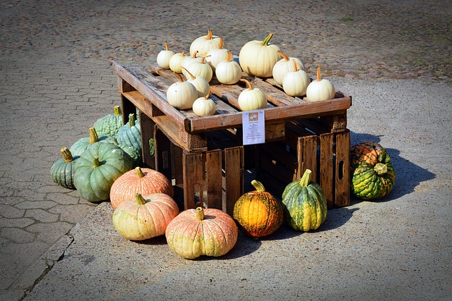 Yard Waste Removal: Green Recycling for Eco-Friendly Homes
