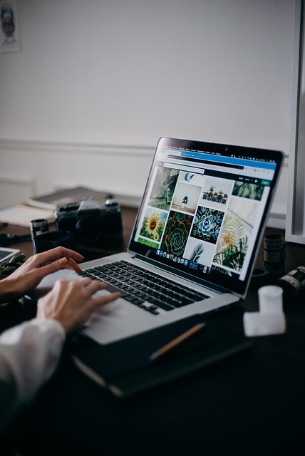 Maximize Growth: Building Influencer Relationships via Private Blog Networks