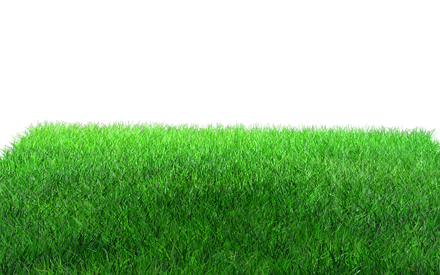 lawn-care-640x480-48150201.png