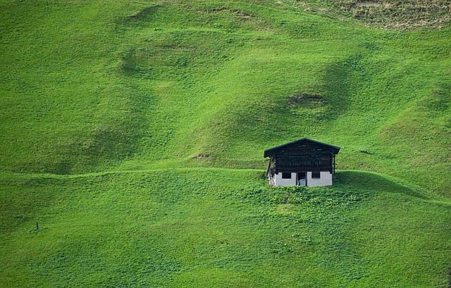 Lawn Care