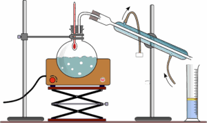 npressfetimg-24.png