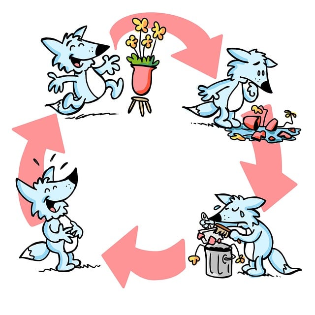 npressfetimg-33.png