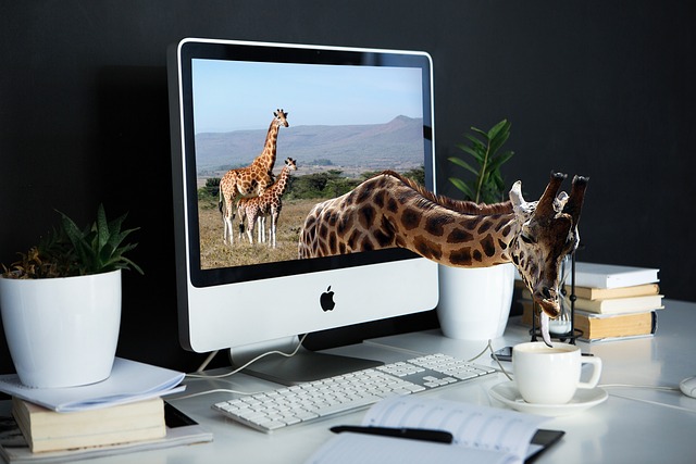 Private Blogs: Boosting Credibility & Content Marketing Strategy