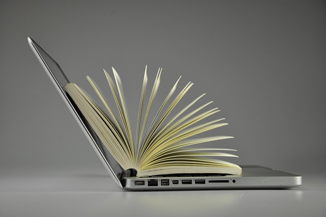Unleash Knowledge Sharing: Maximize Revenue with Private Blog Networks