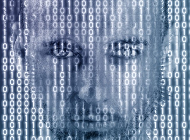 Harnessing PBNs: Strategically Promote Products Across Sites for Enhanced SEO