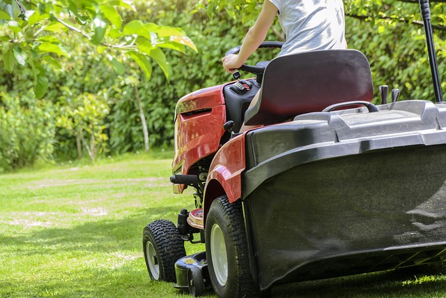 lawn-care-640x480-28379192.jpeg