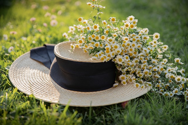 Lawn Care
